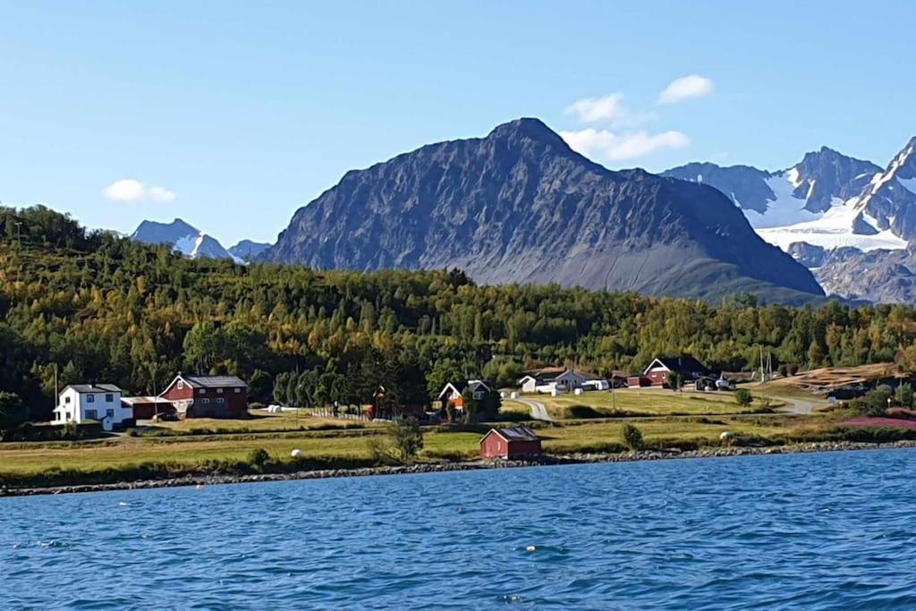 Traditional Farm House Located Close To Fjord 灵塞德 外观 照片